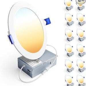 Ceiling Light Fixture