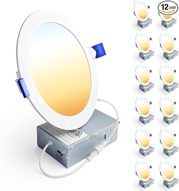Ceiling Light Fixture